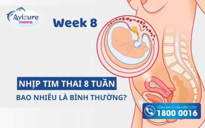 Nhịp tim thai 8 tuần bao nhiêu là bình thường? Mẹ đã biết chưa?